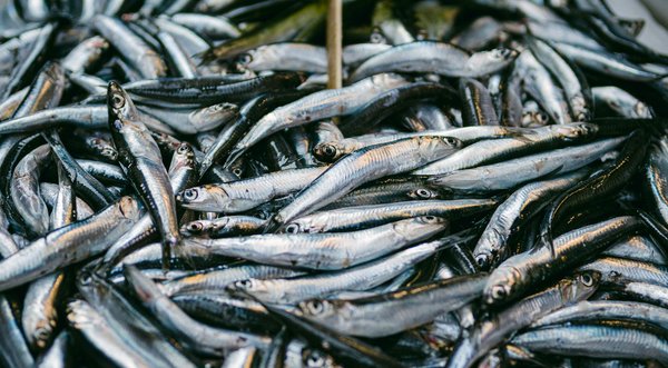 Crème hydratante visage : votre alliée douceur au quotidien